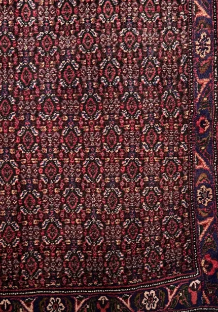 2899 (2)