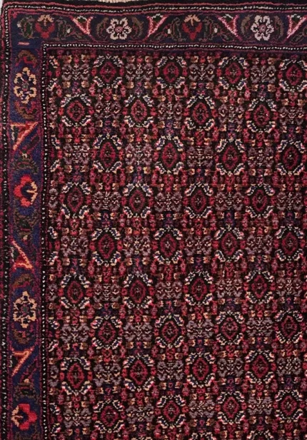 2900 (2)