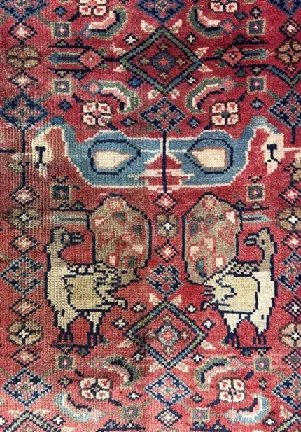 2903 (2)