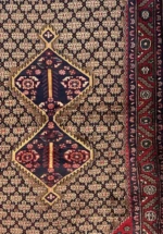 2959 (2)